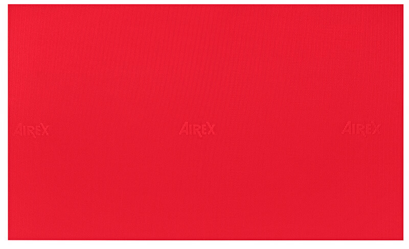 airex-atlas-mata-rehabilitacyjna