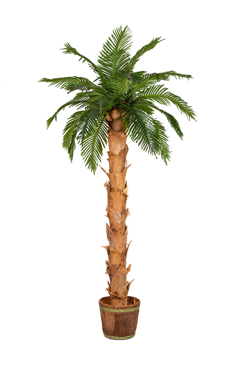 palma kokosowa sztuczna w donicy