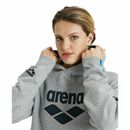 Arena bluza unisex Team Hooded szara