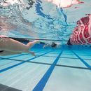 Strechcordz Stationary Swim Trainer